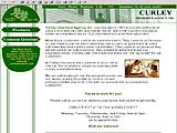 Curley Insurance